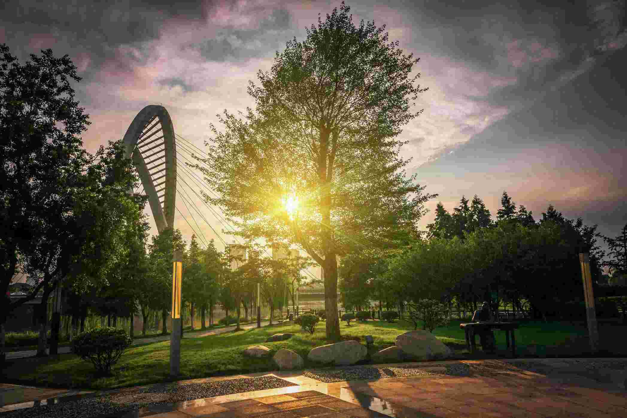 Cameron Park